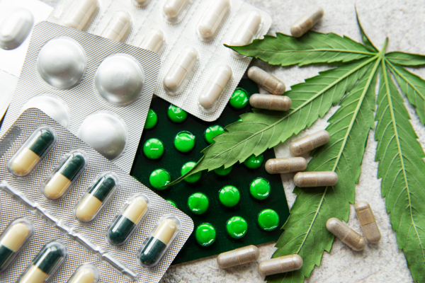 Unveiling the Wellness Revolution: The Power of CBD Capsules