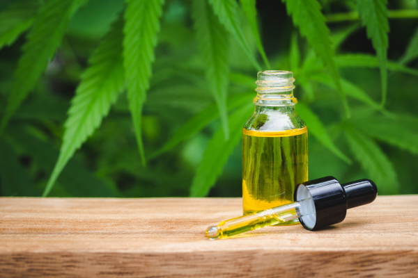 Exploring the Healing Power of CBD Oil: A Comprehensive Guide