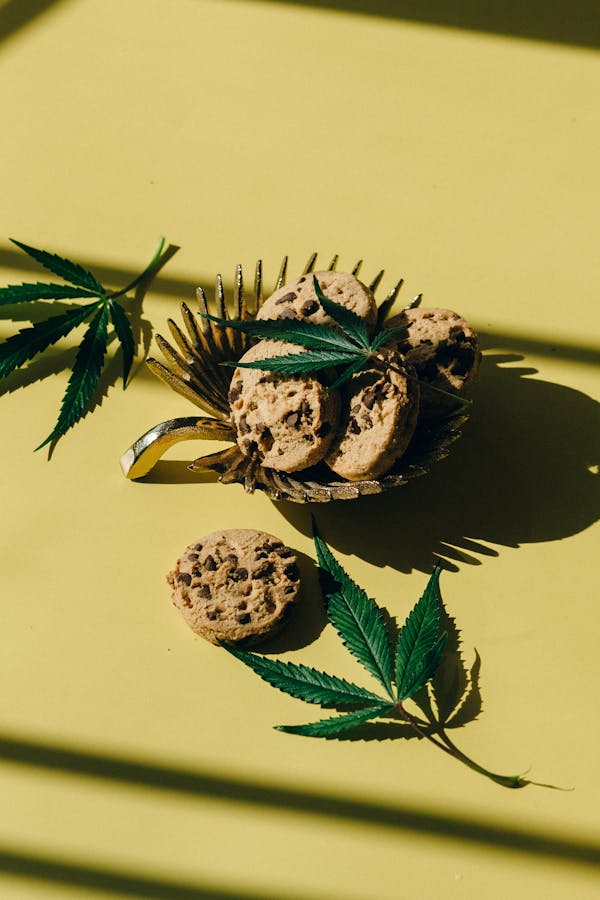 Discover the Delicious World of CBD-Infused Foods